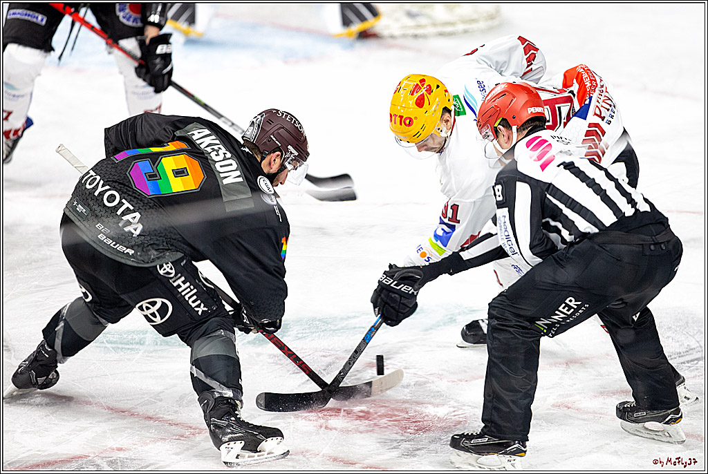 PENNY DEL;  Koelner Haie - Fischtown Pinguins Bremerhaven; Koeln, 17.01.2021